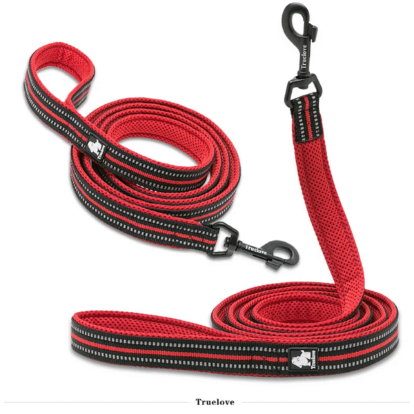 Truelove 200CM Dog Leash – Durable Nylon Walking Lead