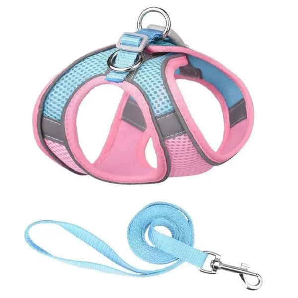 Adjustable Small Dog Harness & Leash Set – Nylon Vest - Image 9