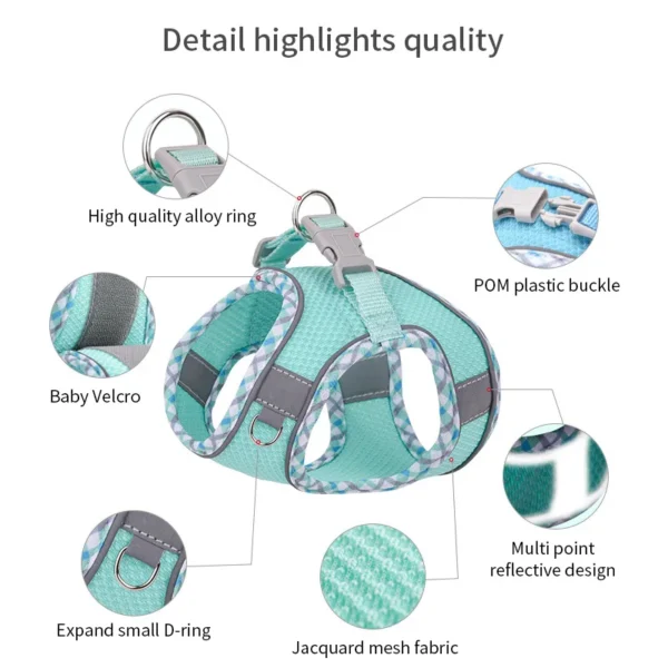 Adjustable Small Dog Harness & Leash Set – Nylon Vest - Image 16
