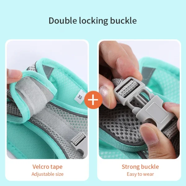 Adjustable Small Dog Harness & Leash Set – Nylon Vest - Image 14