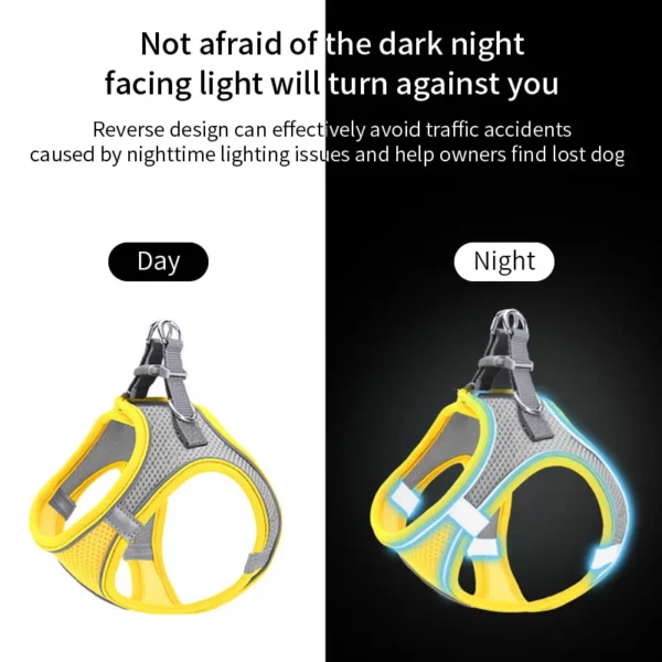 Adjustable Small Dog Harness & Leash Set – Nylon Vest - Image 5