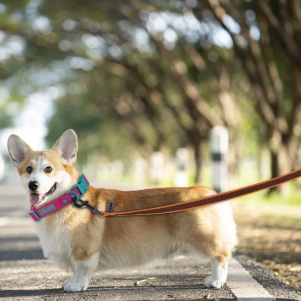 Adjustable Dog Leash – 1.5M to 15M Training & Walking - Image 18
