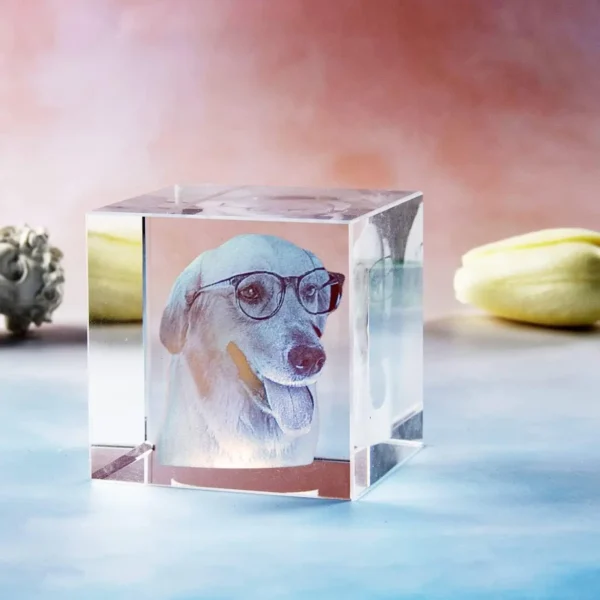 Personalized Pet Tribute Crystal Keepsake – Sympathy Gift - Image 3