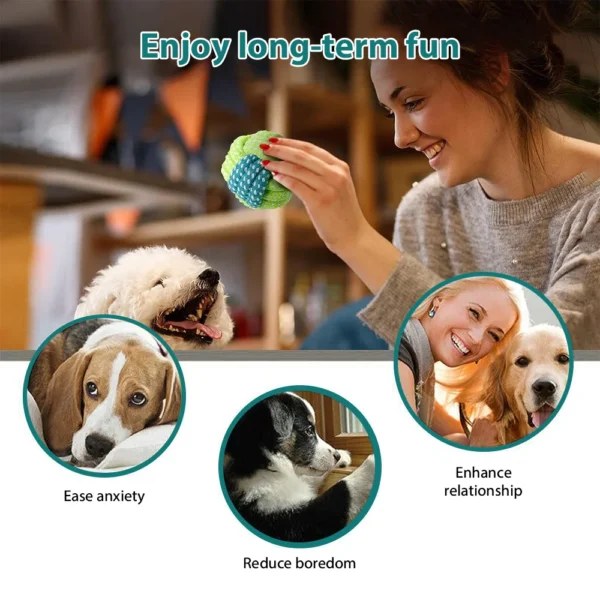 Colorful Dog Chew & Squeak Toys – Rope & Ball Set - Image 9