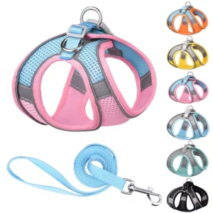 Adjustable Small Dog Harness & Leash Set – Nylon Vest