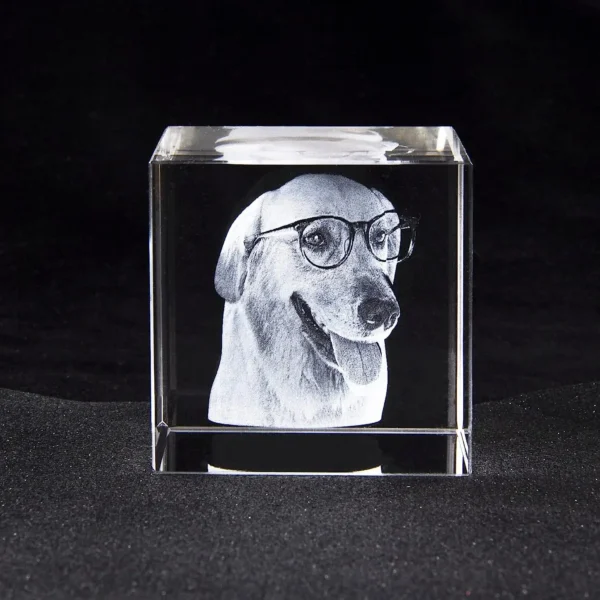 Personalized Pet Tribute Crystal Keepsake – Sympathy Gift - Image 4