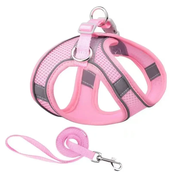 Adjustable Small Dog Harness & Leash Set – Nylon Vest - Image 10