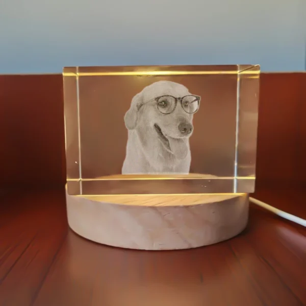 Personalized Pet Tribute Crystal Keepsake – Sympathy Gift - Image 9