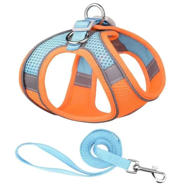 Adjustable Small Dog Harness & Leash Set – Nylon Vest - Image 7