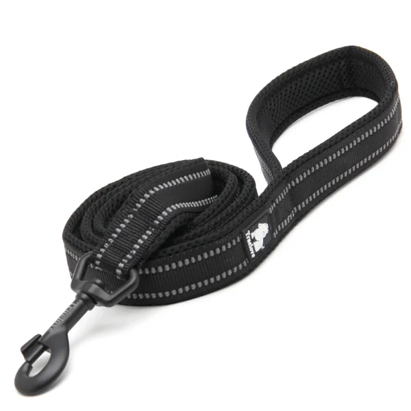 Truelove 200CM Dog Leash – Durable Nylon Walking Lead - Image 5