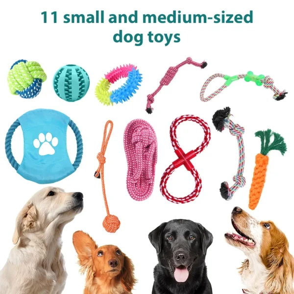 Colorful Dog Chew & Squeak Toys – Rope & Ball Set - Image 2