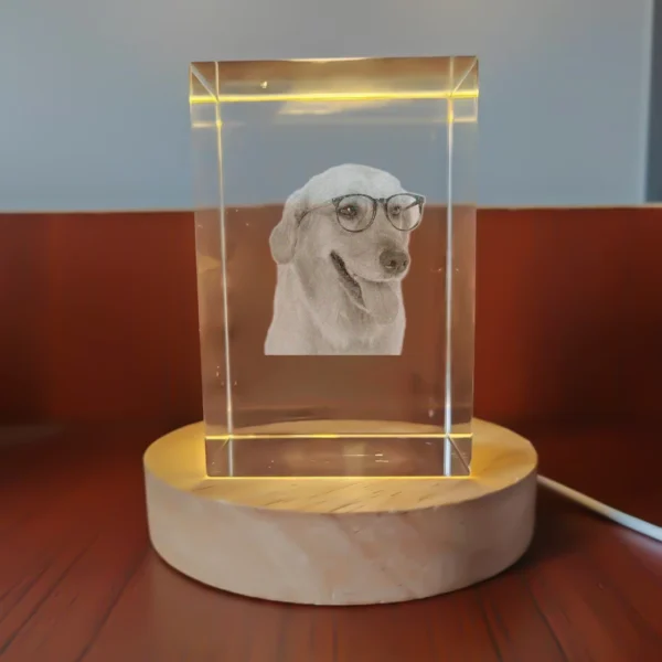 Personalized Pet Tribute Crystal Keepsake – Sympathy Gift - Image 11