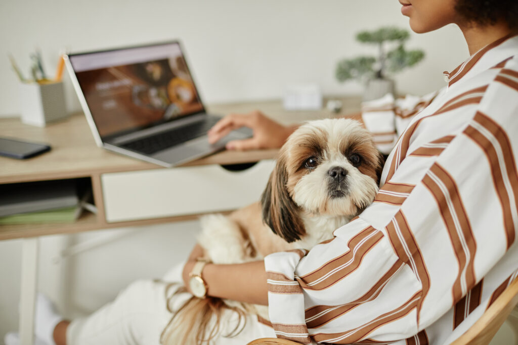 Pet care Pet care