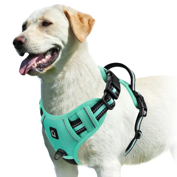 No Pull Dog Harness – Adjustable Soft Padded Pet Vest - Image 13